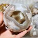 9 Pieces High Quality Sakura Agate Geode Spheres