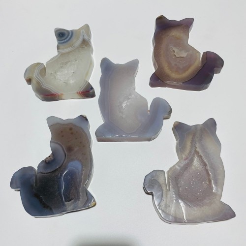 5 Pieces Geode Agate Druzy Cat Closeout