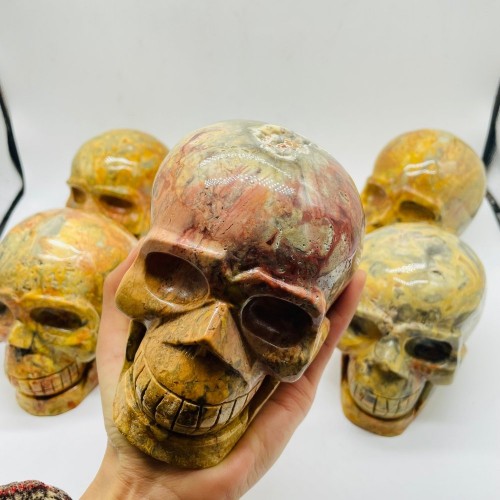 6 Pieces Crazy Agate Large Skull Carving