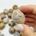 Natural Crazy Agate Tumbled Wholesale