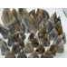 42 Pieces White Stripe Agate Arrow Head Shape Carving