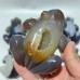 9 Pieces Large Beautiful Geode Druzy Agate Frog Carving