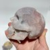 10 Pieces Large Agate Skull Carving