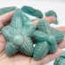 20 Pieces Beautiful Amazonite Sea Animal Carving