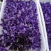 Raw Amethyst Specimen Wand Tower Points Wholesale