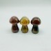 3 Types Mushroom Caribbean & Crazy Agate & Chevron Amethyst Wholesale