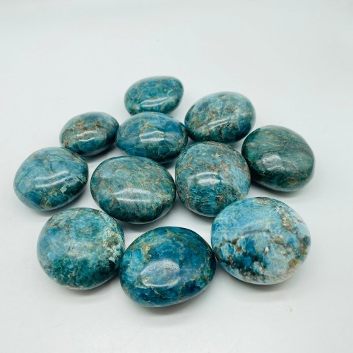 Apatite Palm Wholesale