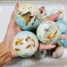 15 Pieces Caribbean Calcite Spheres