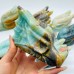 8 Pieces Large Caribbean Calcite Dragon Head Carving