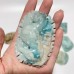 16 Pieces Caribbean Calcite Sea Animals Carving Wholesale