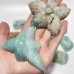 16 Pieces Caribbean Calcite Sea Animals Carving Wholesale