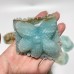 16 Pieces Caribbean Calcite Sea Animals Carving Wholesale