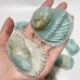 16 Pieces Caribbean Calcite Sea Animals Carving Wholesale