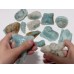 16 Pieces Caribbean Calcite Sea Animals Carving Wholesale