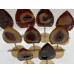 9 Pieces Beautiful Geode Carnelian Druzy Arrow Head With Stand