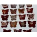 19 Pieces Carnelian Geode Druzy Butterfly Carving