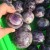 2-4in(5-10cm) Chevron Amethyst Sphere Ball Wholesale