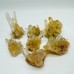 Brazil Orange Quartz Clear Quartz Raw Cluster Wholesale