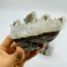 11 Pieces Clear Quartz Cluster Squirrel Carving