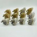 12 Pieces Clear Quartz Cluster Seahorse Carving