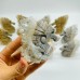 12 Pieces Clear Quartz Cluster Seahorse Carving