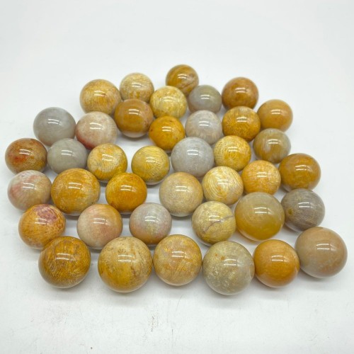 Natural Jade Coral Sphere Ball Wholesale