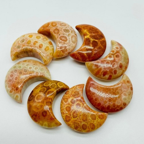 Beautiful Natural Jade Coral Moon Wholesale