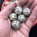 Natural Dalmatian Jasper Quartz Sphere Wholesale