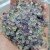 Rainbow Fluorite Gravel Chips Wholesale