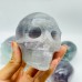 6 Pieces Large Fluorite Halloween Skull Carving