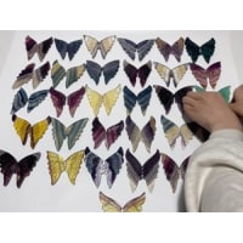 31 Pairs Rainbow Fluorite Butterfly Carving (A1BTF)