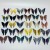 30 Pairs Rainbow Fluorite Butterfly Carving (A3BTF)