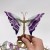 19 Pairs Rainbow Fluorite Symmetry Small Butterfly Wing With Stand