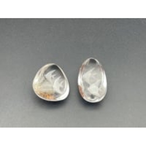 2 Pieces Fish Garden Quartz Inner Scene Carving