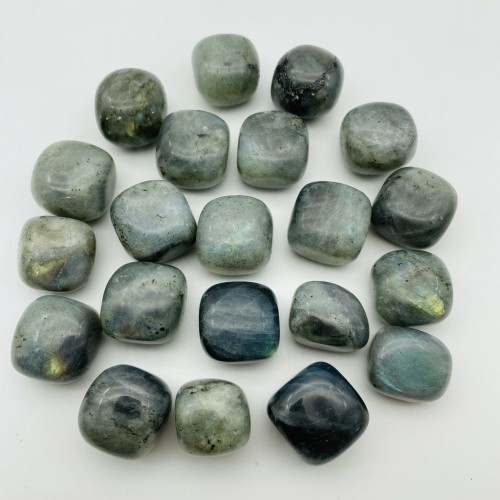 Labradorite Tumbled Free Form Wholesale