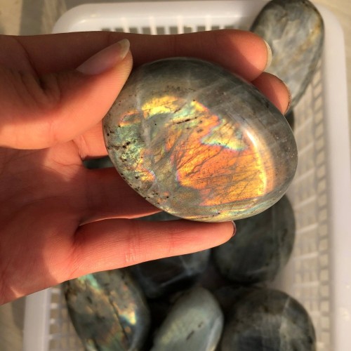 Labradorite Large Palm Wholesale