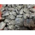 Normal Quality Labradorite Heart Wholesale