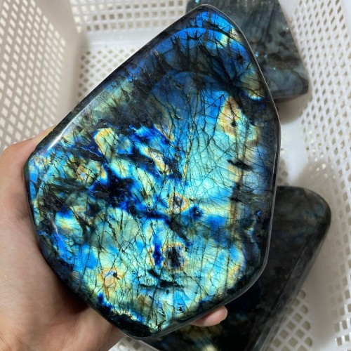 5 Pieces Large Labradorite Free Form