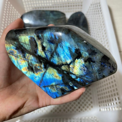 6 Pieces Large Labradorite Free Form High Quality