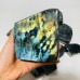 14 Pieces Labradorite High Quality Polished Large Free Form