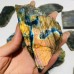 13 Pieces High Quality Labradorite Slab