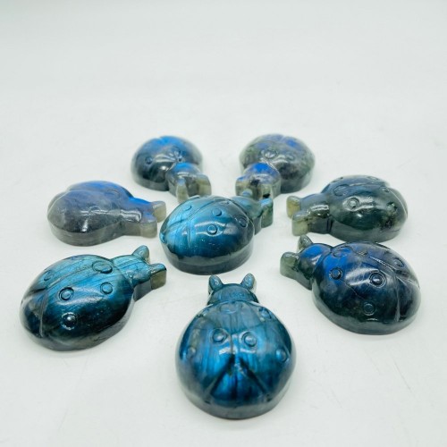 High Quality Labradorite Ladybug Carving Wholesale