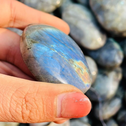 Blue&Yellow Labradorite Palm Wholesale