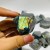 Labradorite Free Form Wholesale