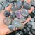 7.77kg(17lbs) Small Purple Blue Labradorite Palm