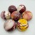 Natural Mookaite Sphere Ball Wholesale