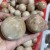 Orange Moonstone Quartz Sphere Ball Wholesale