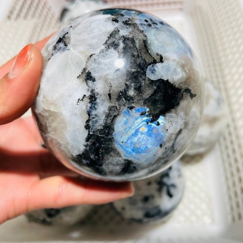 7 Pieces Large Moonstone Sphere Ball