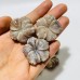 21 Pieces Beautiful Moonstone Mixed Sunstone Flower Carving