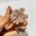 21 Pieces Beautiful Moonstone Mixed Sunstone Flower Carving